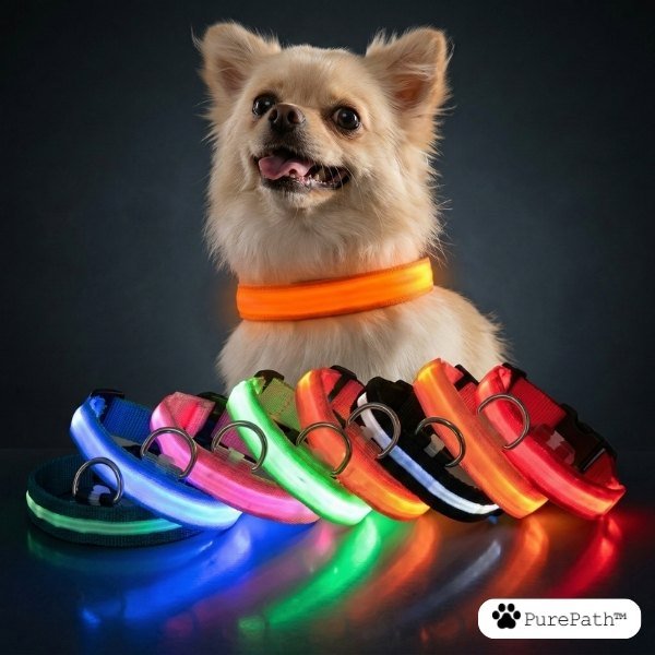 LED Pet Collar - Pure Path™