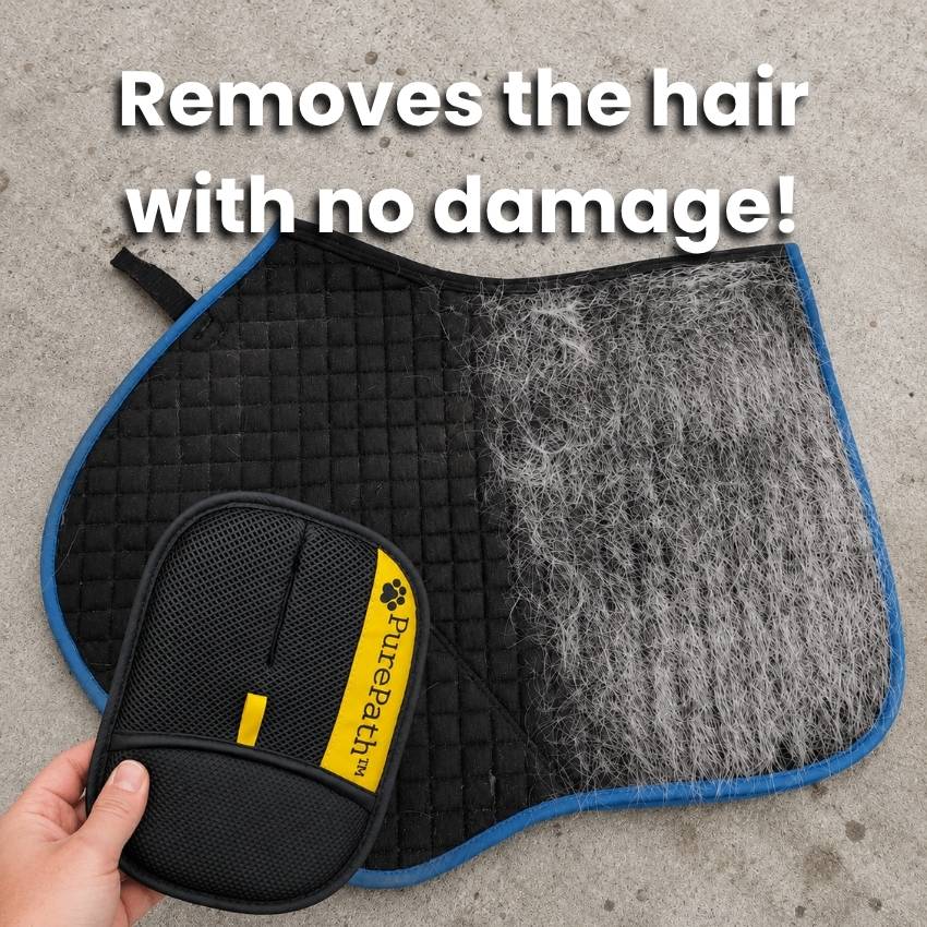 Pure Path™ Horse Hair Glove