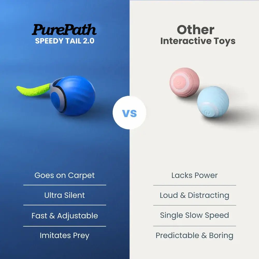 Speedy Tail 2.0 - Pure Path™ Toys