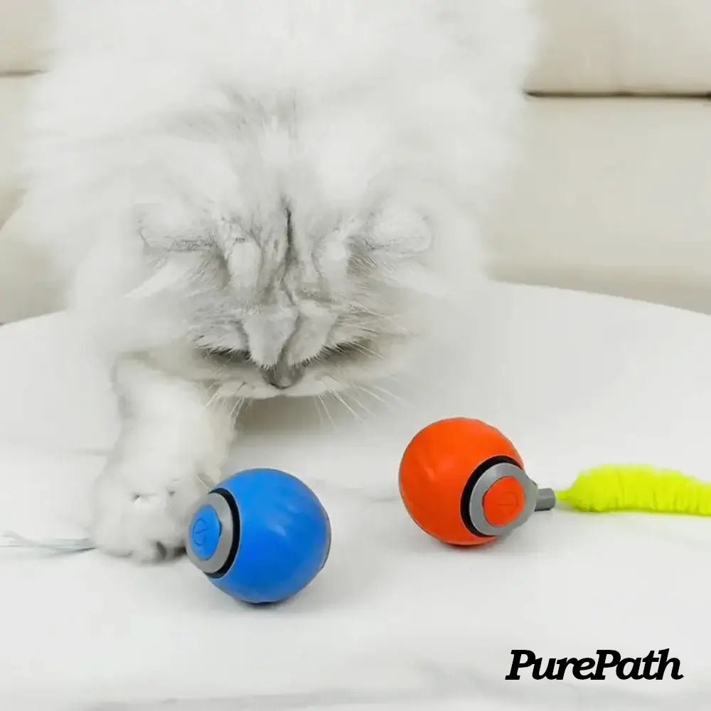 Speedy Tail 2.0 - Pure Path™ Toys