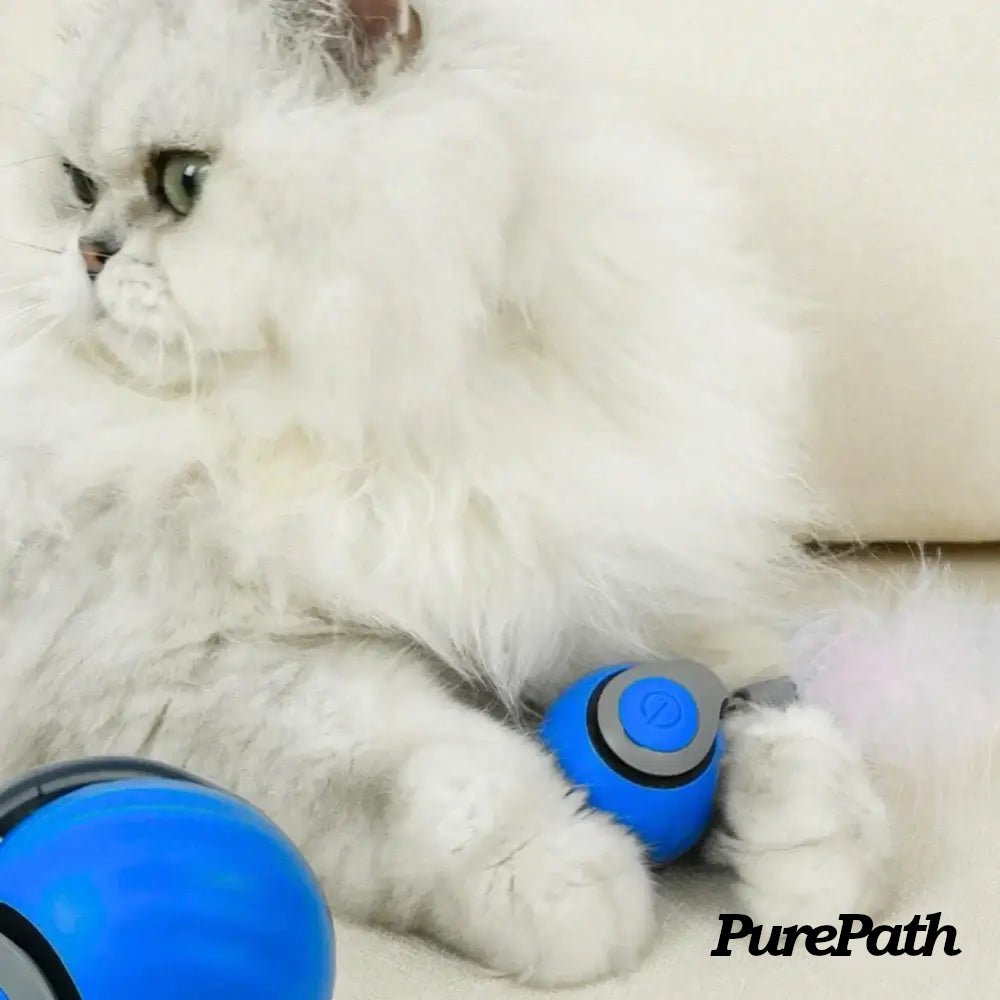 Speedy Tail 2.0 - Pure Path™ Toys