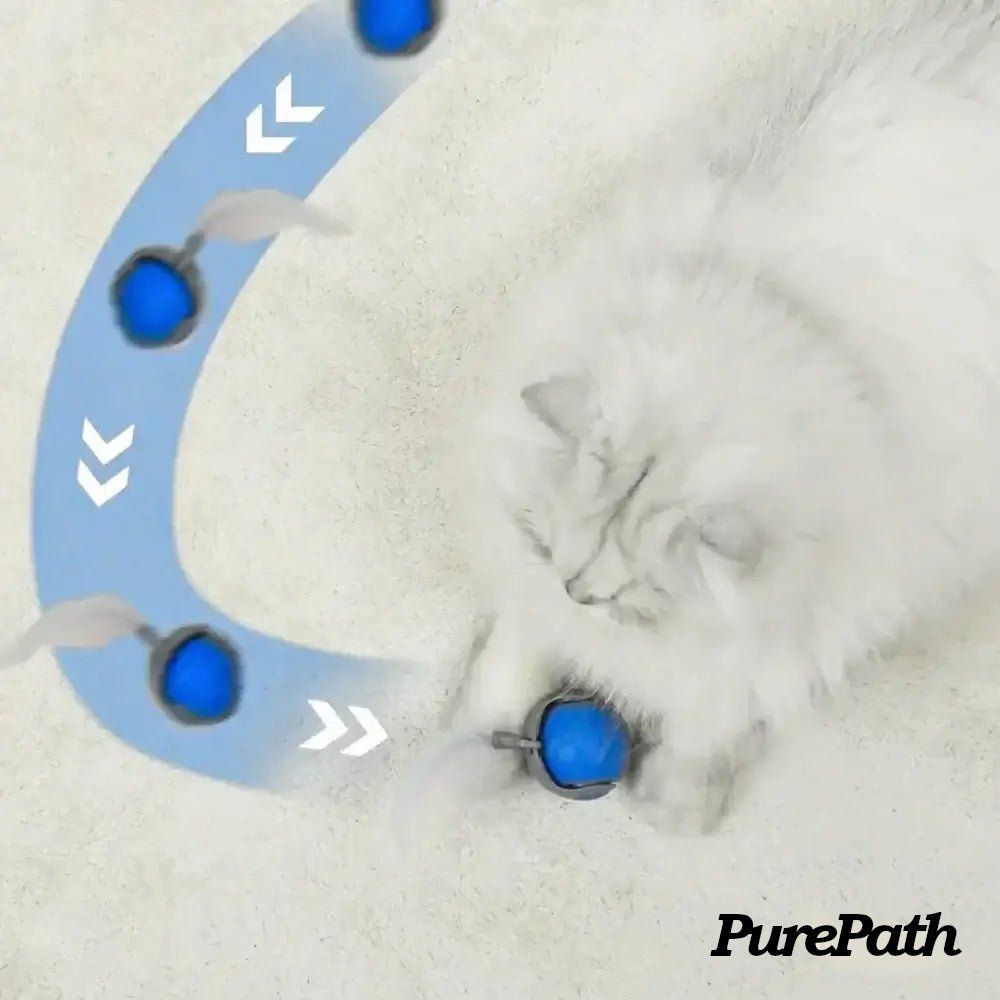 Speedy Tail 2.0 - Pure Path™ Toys