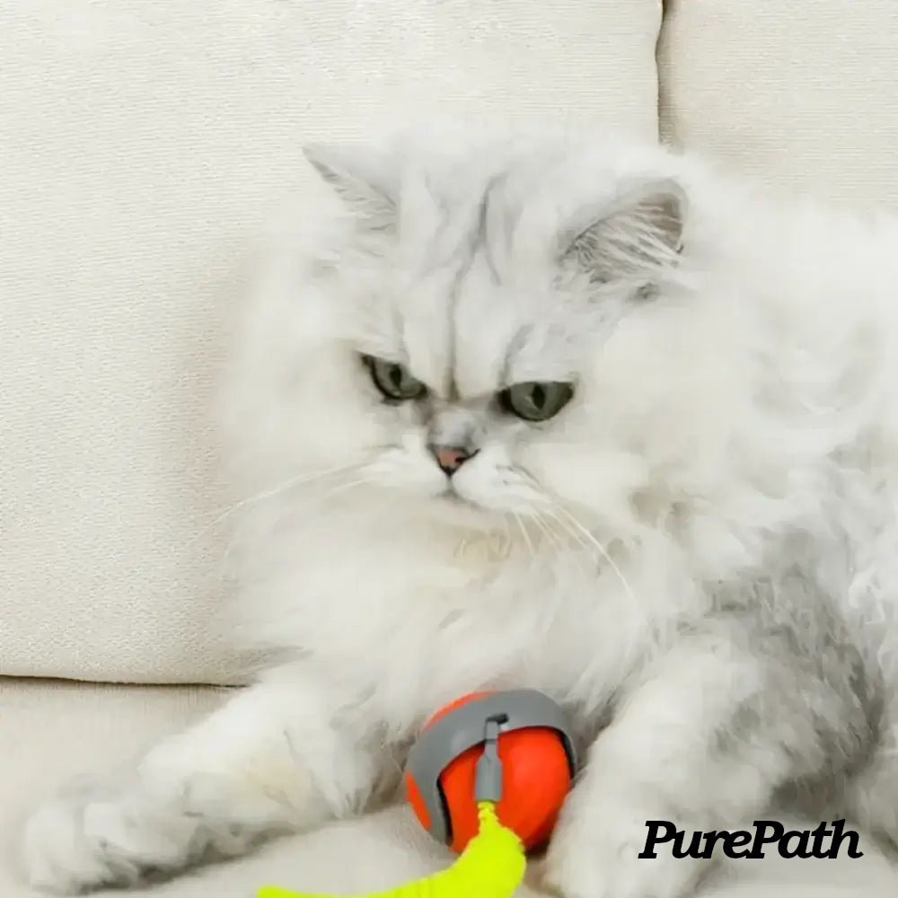 Speedy Tail 2.0 - Pure Path™ Toys