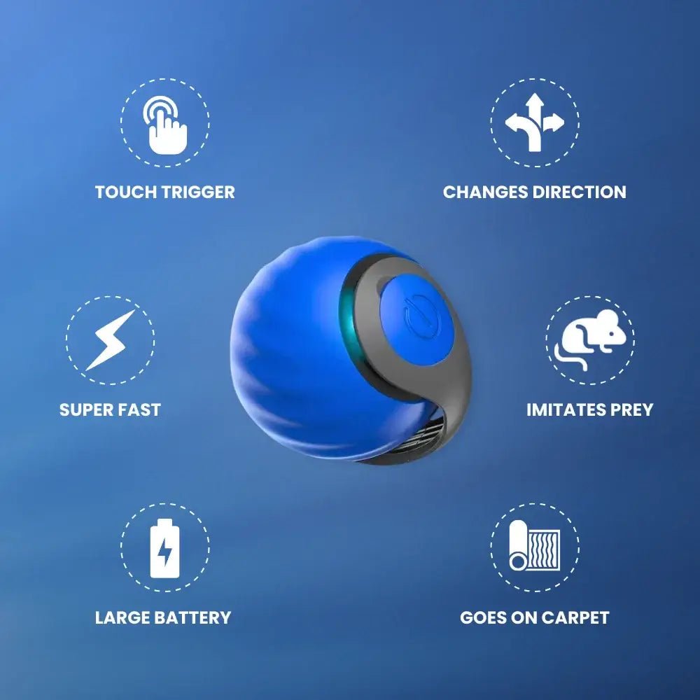 Speedy Tail 2.0 - Pure Path™ Toys