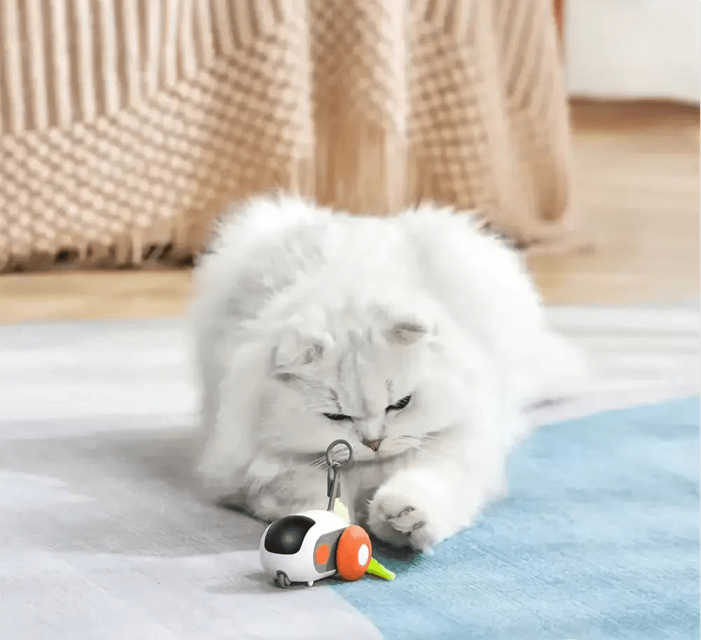 Turbo Tail 2.0 - Pure Path™ Toys