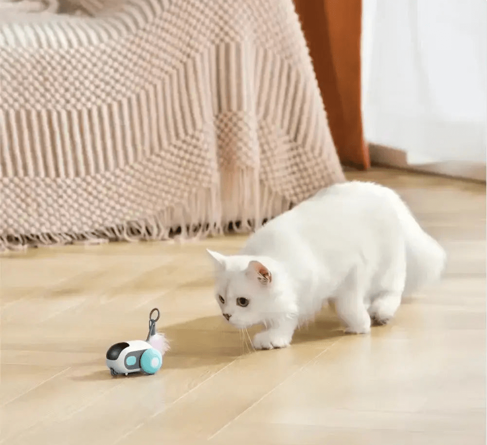 Turbo Tail 2.0 - Pure Path™ Toys