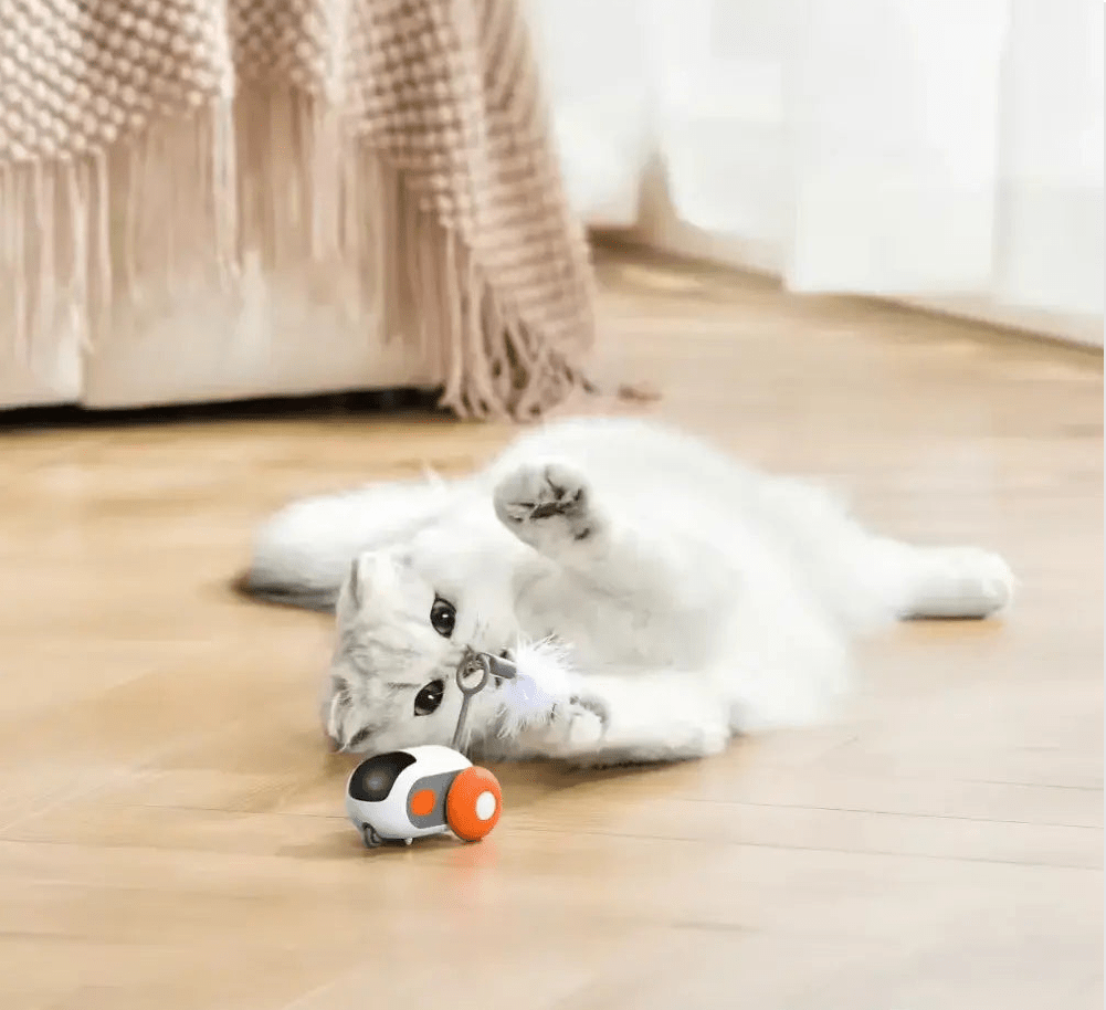 Turbo Tail 2.0 - Pure Path™ Toys